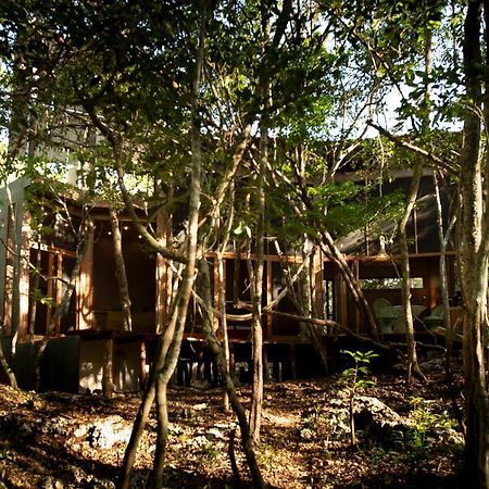 Ojo De Arbol, Boutique Cabin In The Real Jungle Tulum Luaran gambar