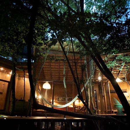 Ojo De Arbol, Boutique Cabin In The Real Jungle Tulum Luaran gambar