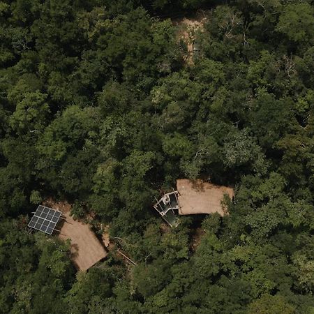 Ojo De Arbol, Boutique Cabin In The Real Jungle Tulum Luaran gambar