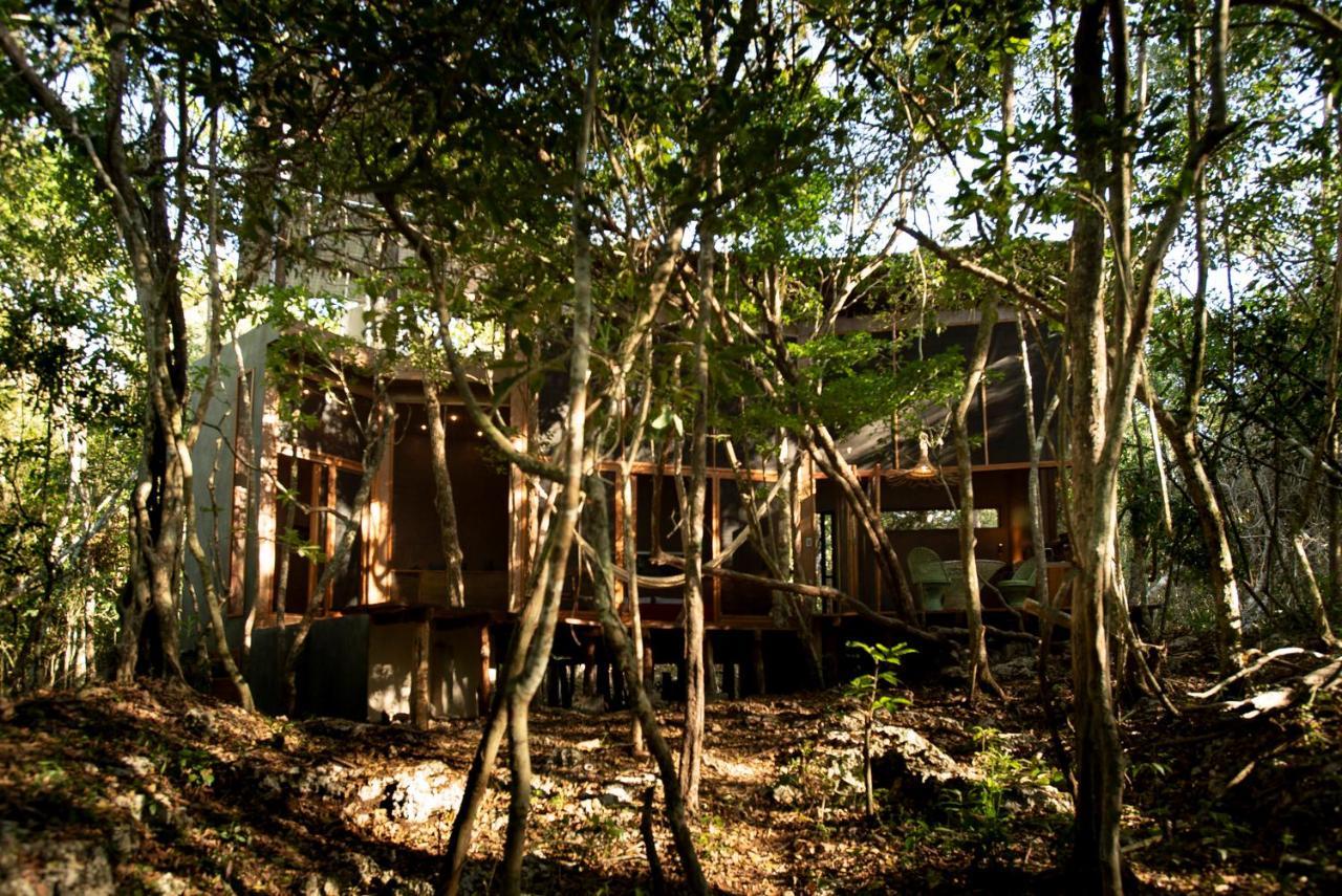 Ojo De Arbol, Boutique Cabin In The Real Jungle Tulum Luaran gambar