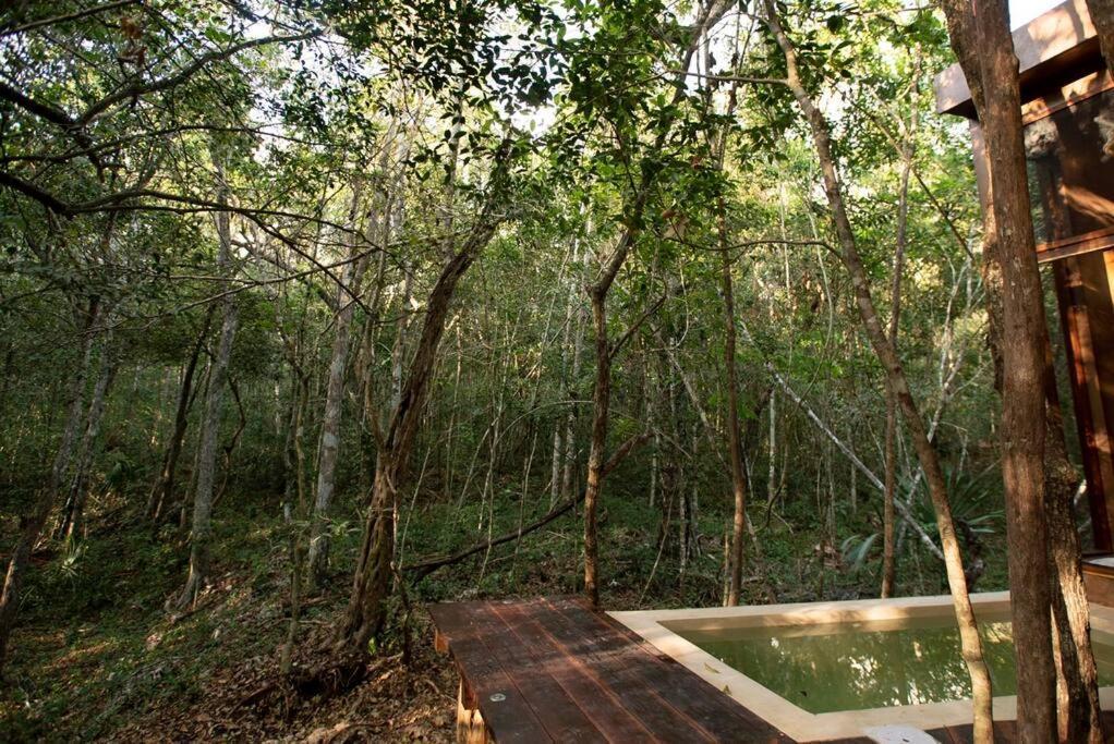 Ojo De Arbol, Boutique Cabin In The Real Jungle Tulum Luaran gambar