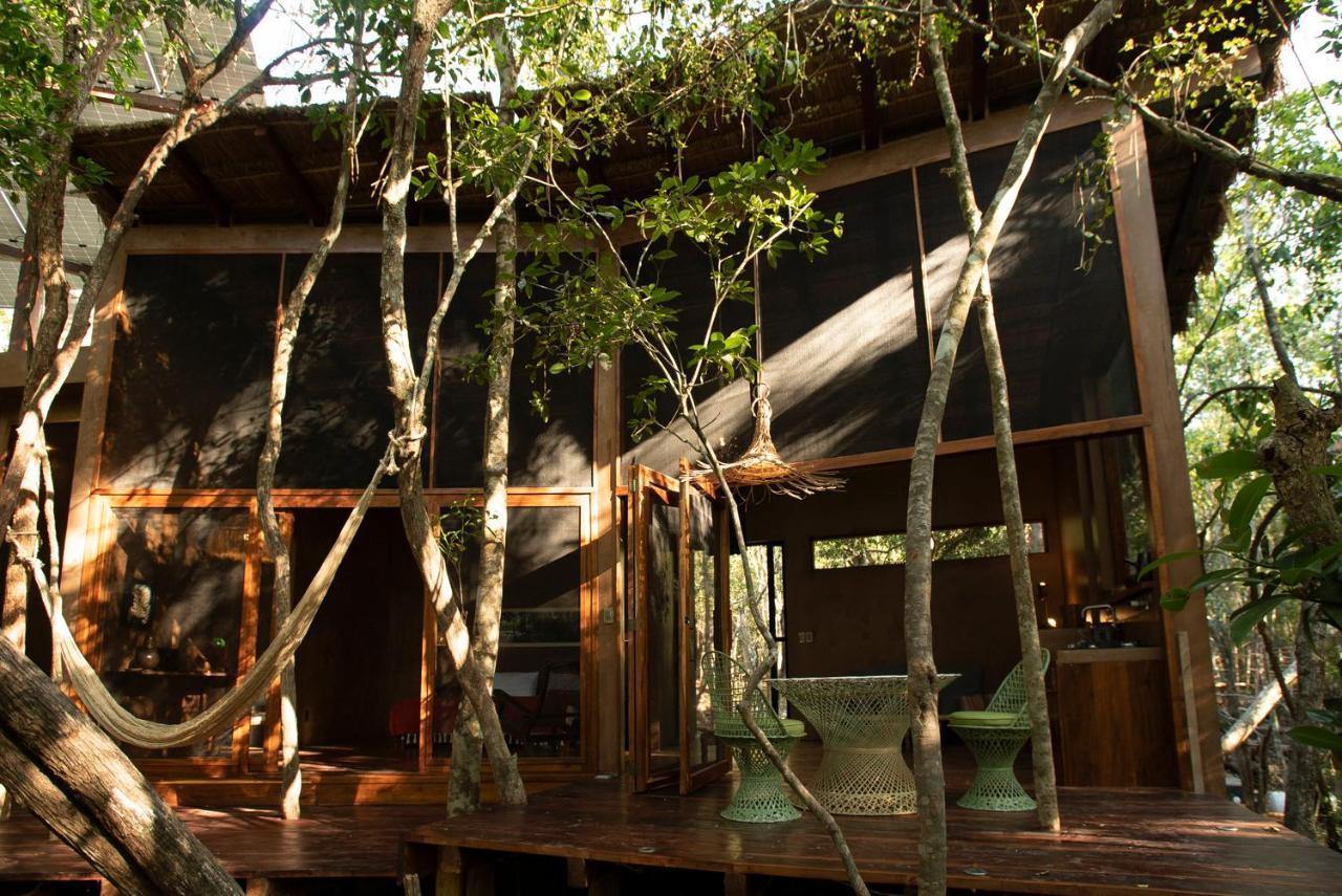 Ojo De Arbol, Boutique Cabin In The Real Jungle Tulum Luaran gambar