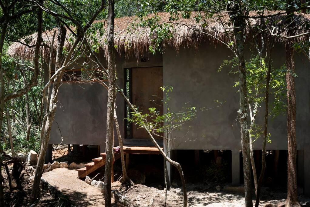 Ojo De Arbol, Boutique Cabin In The Real Jungle Tulum Luaran gambar