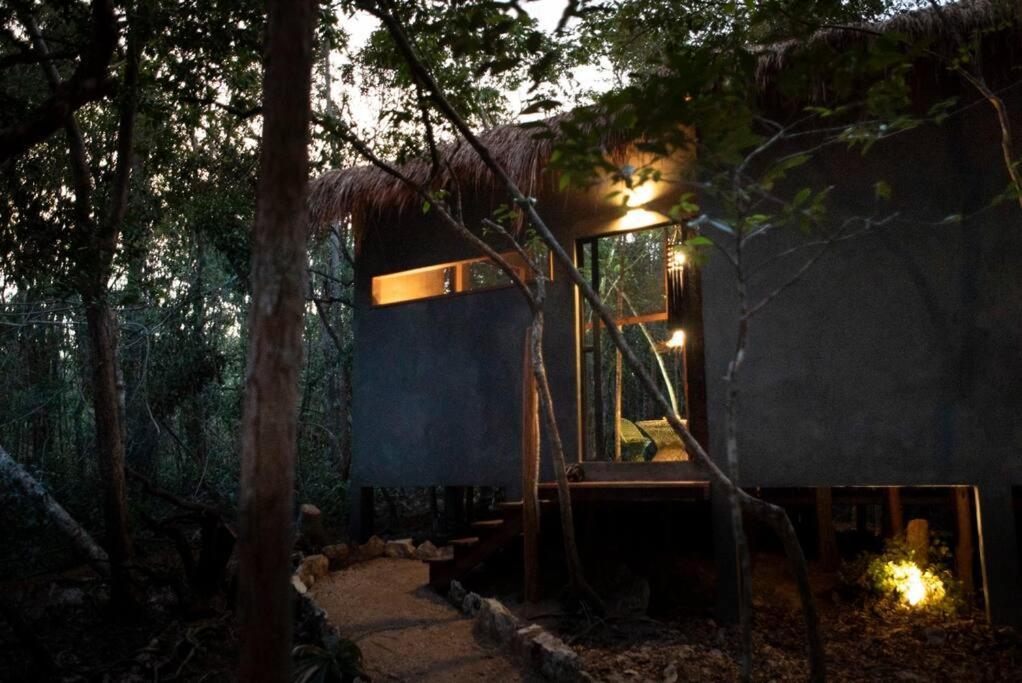 Ojo De Arbol, Boutique Cabin In The Real Jungle Tulum Luaran gambar