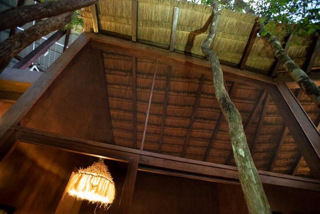 Ojo De Arbol, Boutique Cabin In The Real Jungle Tulum Luaran gambar