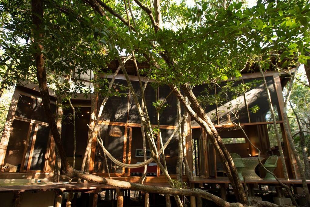 Ojo De Arbol, Boutique Cabin In The Real Jungle Tulum Luaran gambar
