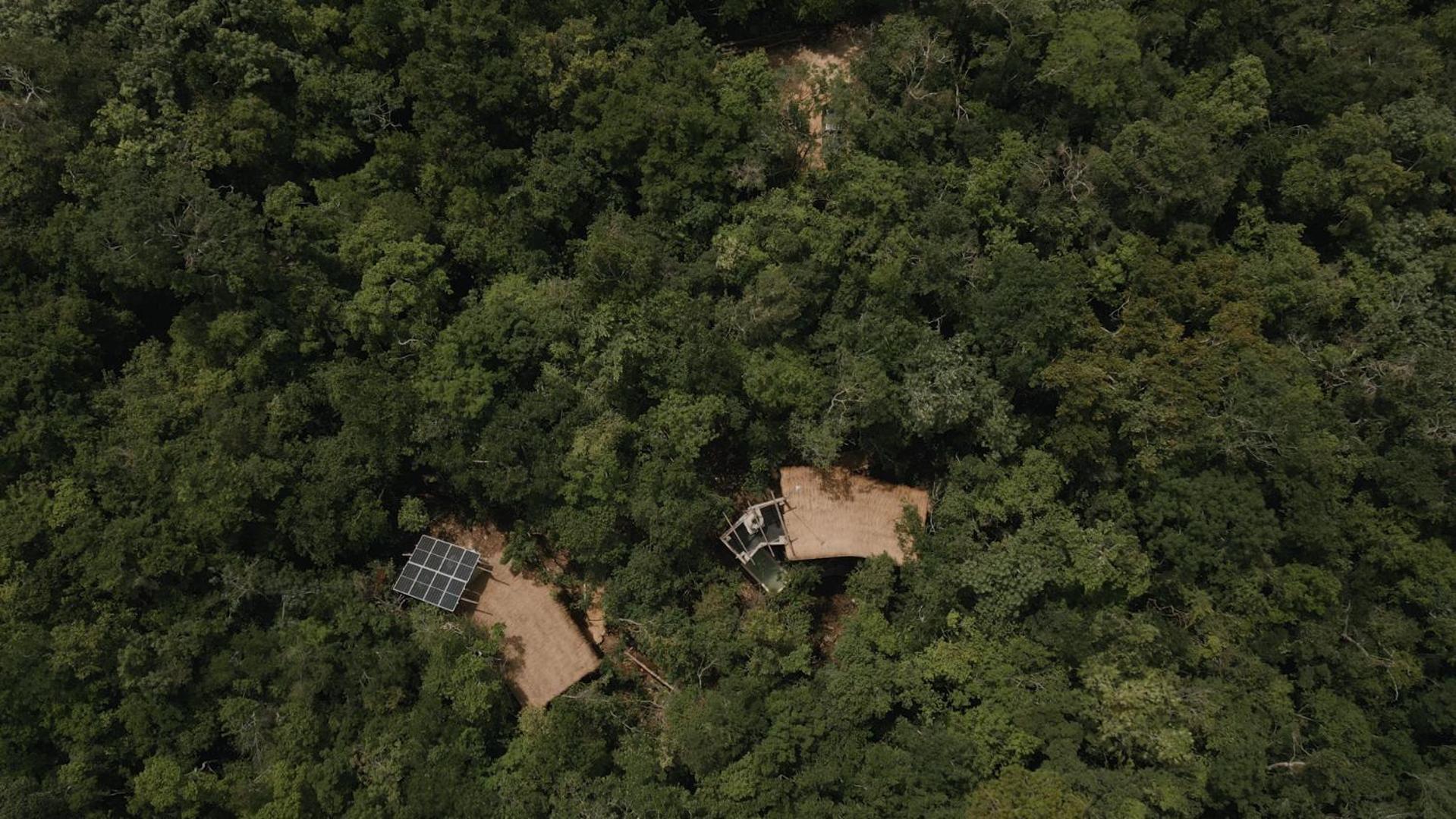Ojo De Arbol, Boutique Cabin In The Real Jungle Tulum Luaran gambar